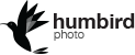 humbirdphoto