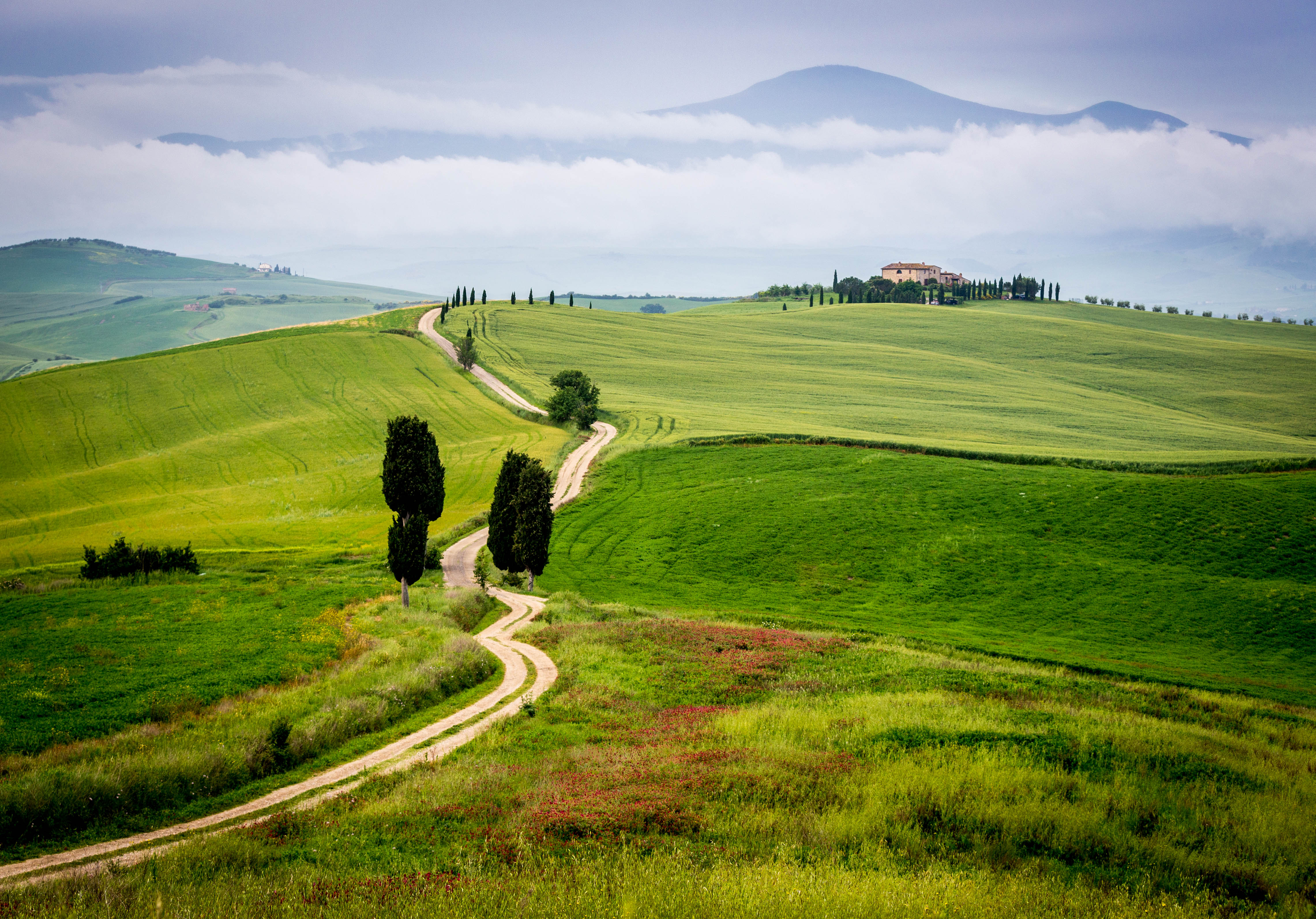 humbirdphoto - Beautiful green vista